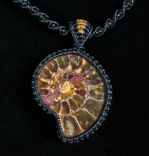 Handcrafted Macrame Ammonite Necklace #4372